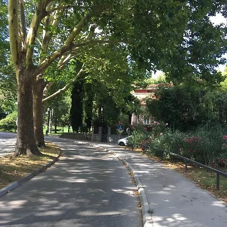 Center 포르토로즈