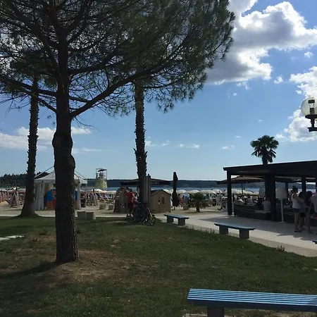 Center 게스트하우스