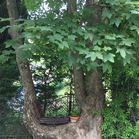 Center 게스트하우스 *