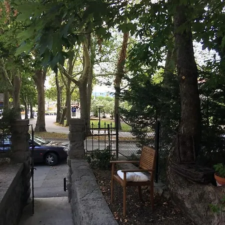 Center 포르토로즈