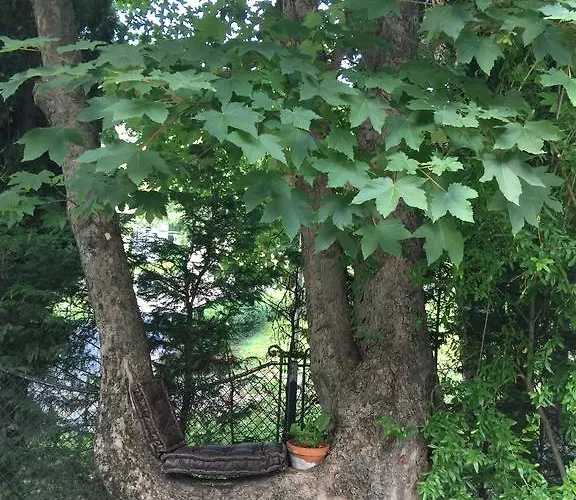 Center Πανσιόν *